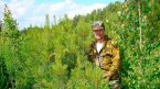 Диплом егеря Диплом егеря