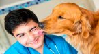 Диплом вет фельдшера Диплом вет фельдшера